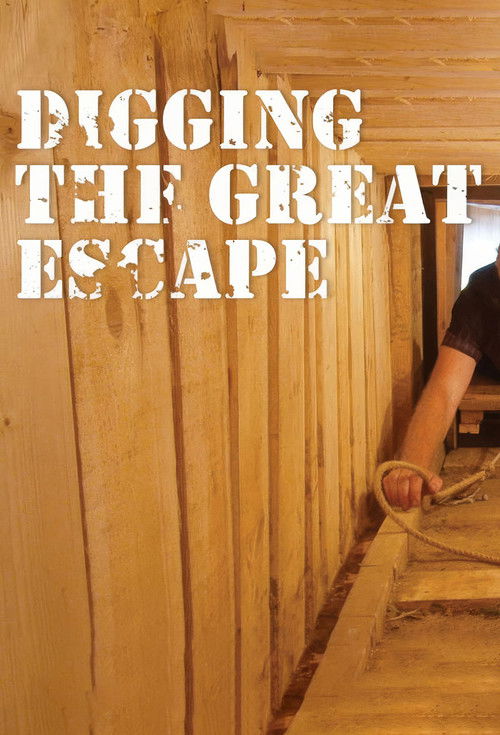 Digging The Great Escape (2011) poster