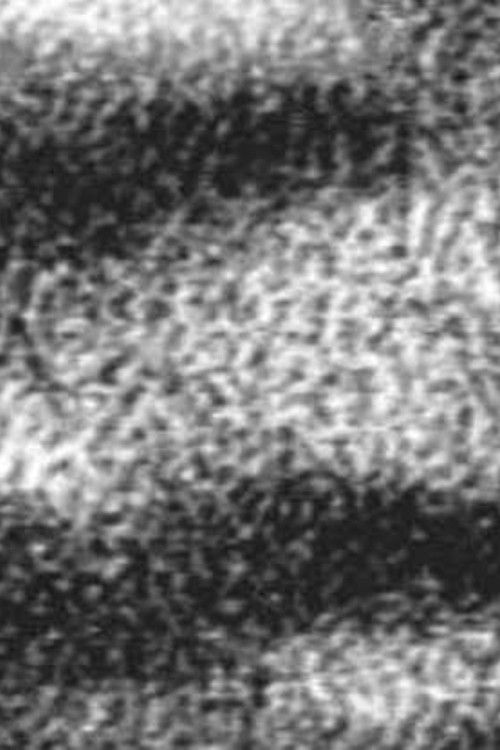 Transfer (1991) poster