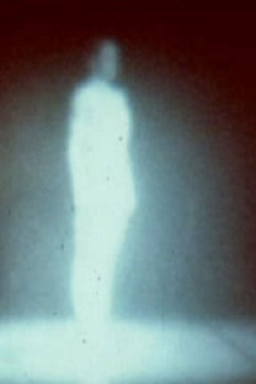 Carolyn III (1981) poster