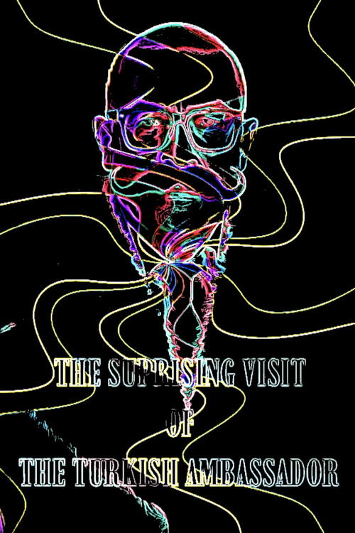 The Suprising Visit Of The Turkish Ambassador (2024) poster