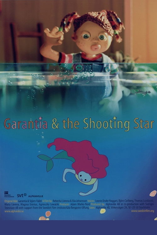 Garantia and the Shooting Star (2006) poster