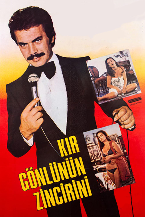Kır Gönlünün Zincirini (1981) poster