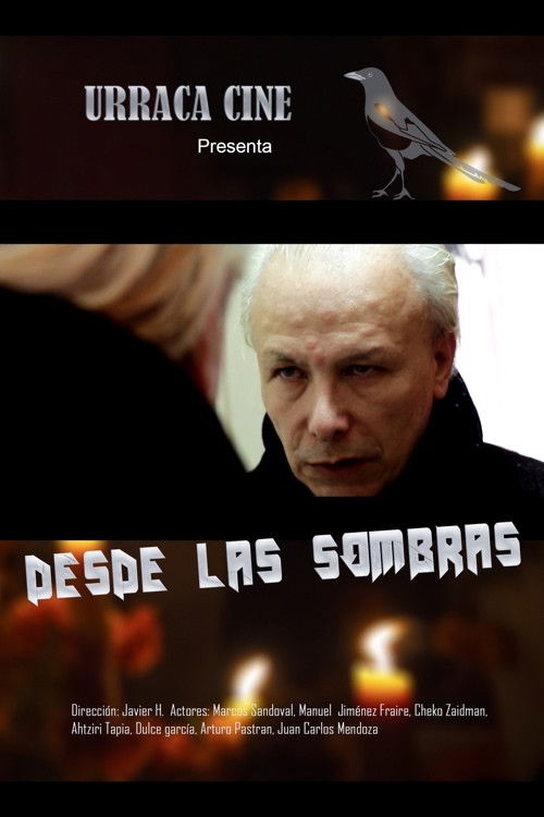 Desde las sombras (2020) poster