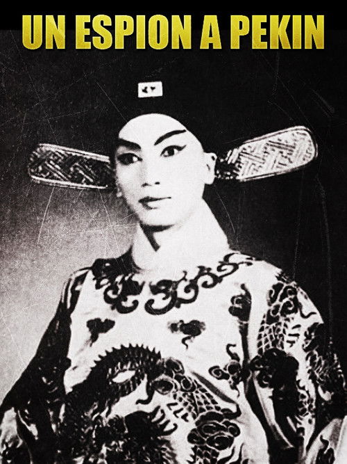 Un espion à Pékin (2013) poster