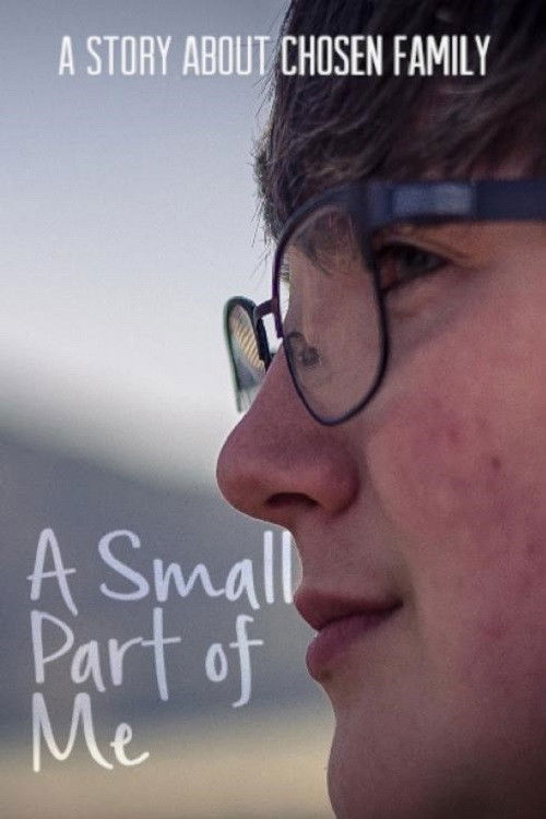 A Small Part of Me (2017) poster