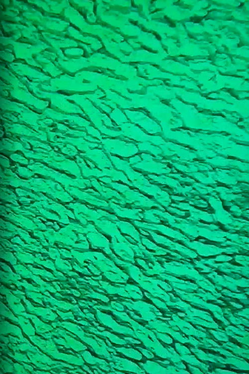 Sequence 9 (2019) poster