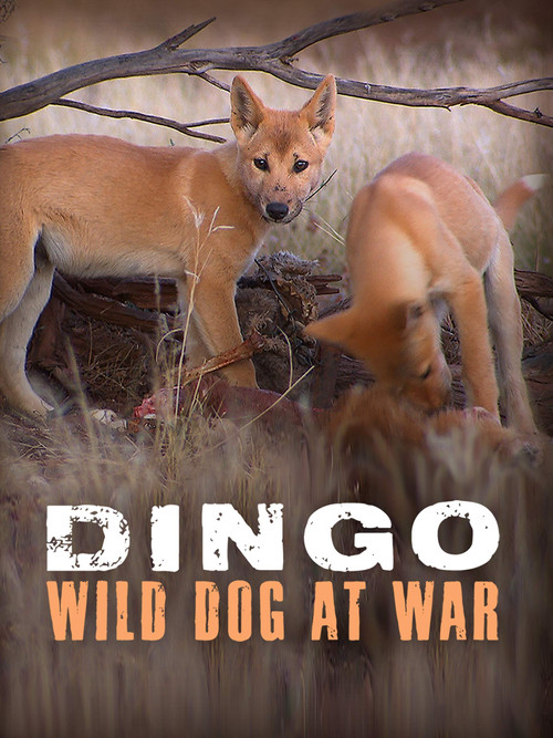 Dingo: Wild Dog at War (2013) poster