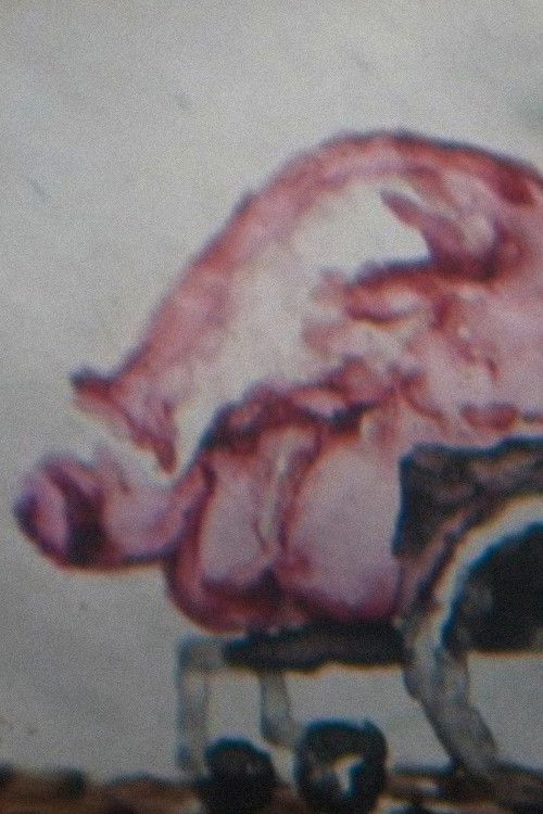 Spoken Movie 1 (2007) poster