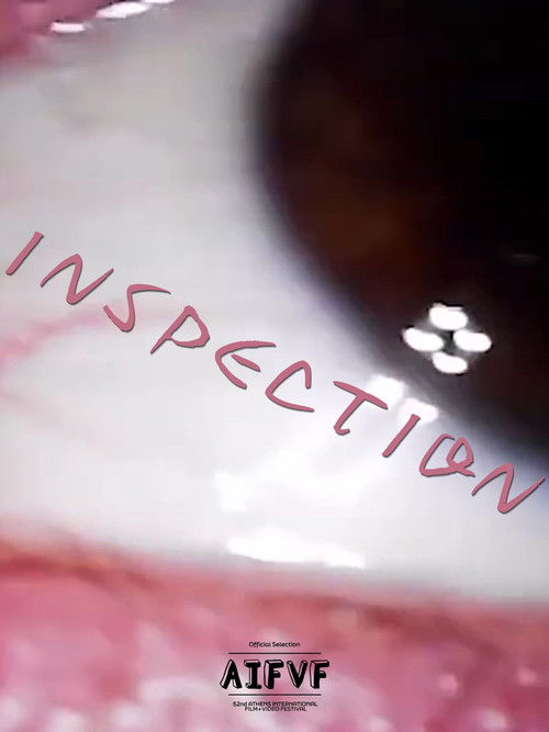 INSPECTION (2025) poster