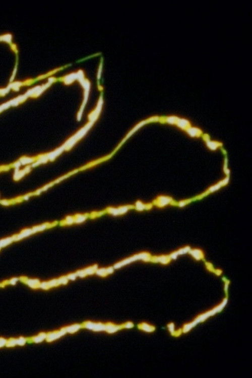 Las Manos misteriosas (2024) poster