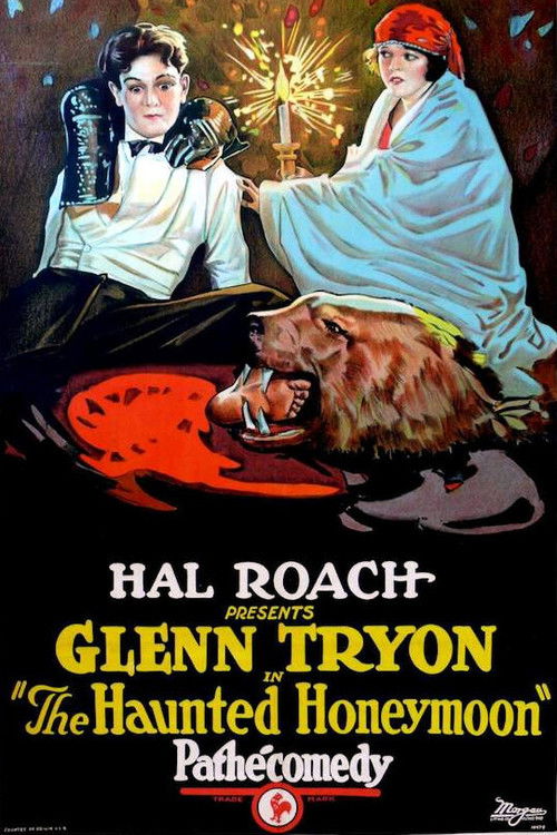 The Haunted Honeymoon (1925) poster