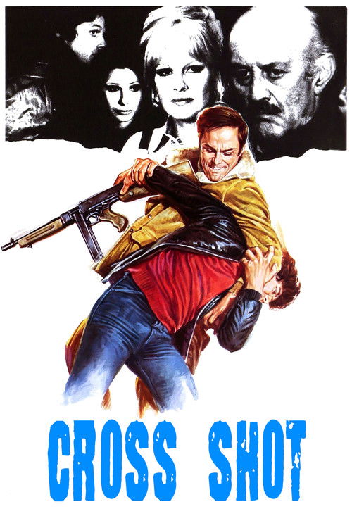La Legge Violenta Della Squadra Anticrimine (1976) poster