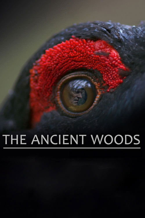 The Ancient Woods (2018) poster