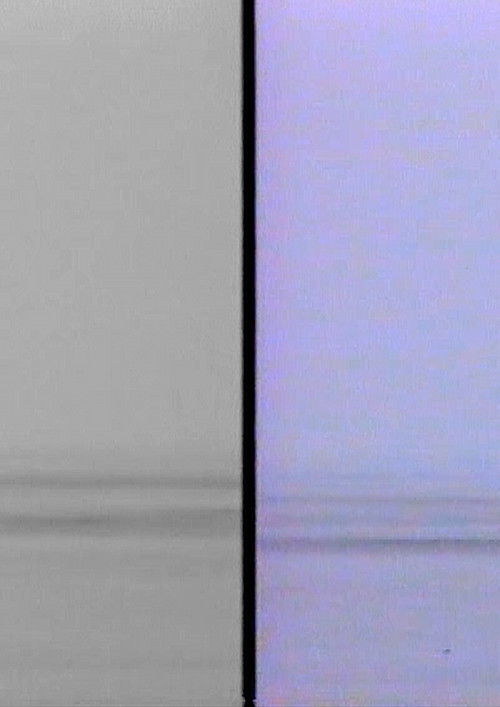 Sag Es Nicht (2016) poster