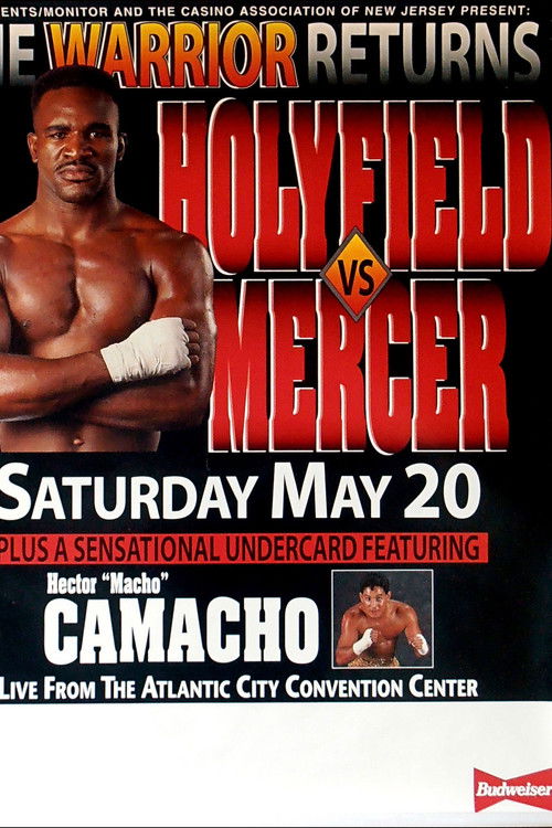 Evander Holyfield vs. Ray Mercer (1995) poster