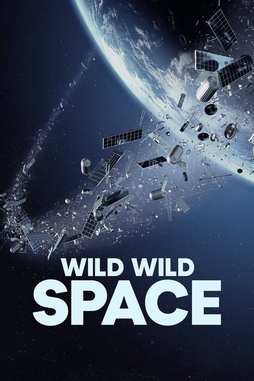 Wild Wild Space (2024) poster