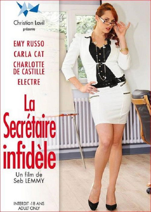 La secrétaire infidèle (2013) poster