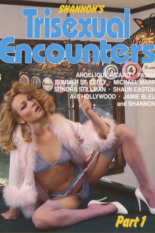Trisexual Encounters (1985) poster