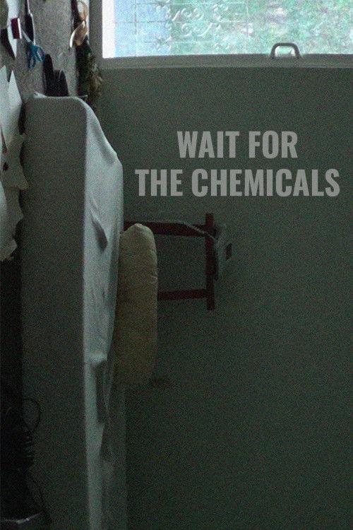 Wait for the Chemicals (2024) poster