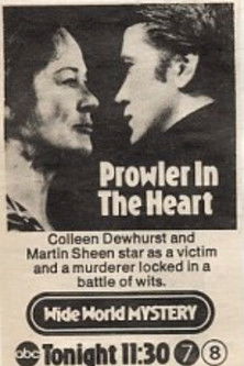 A Prowler in the Heart (1973) poster