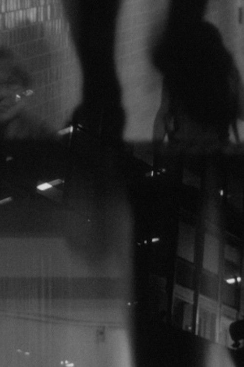 Night Reflection (I) poster