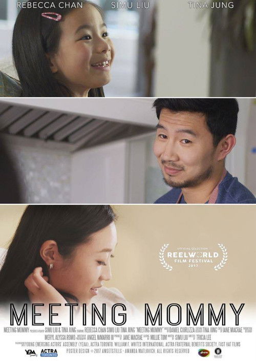 Meeting Mommy (2017) poster