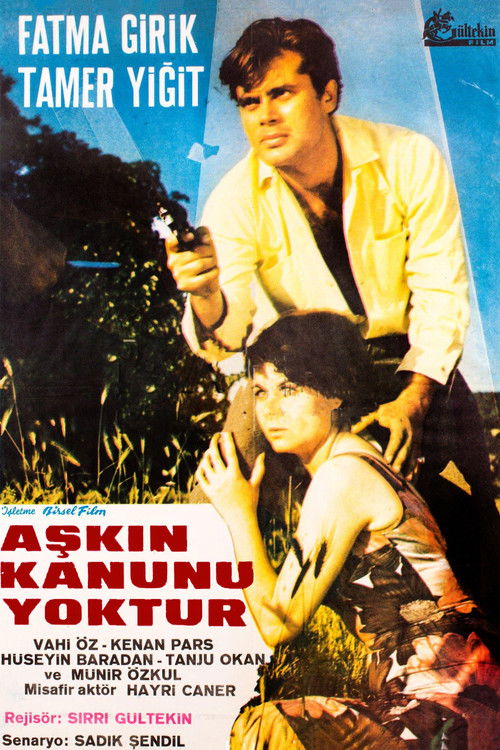Aşkın Kanunu (1966) poster