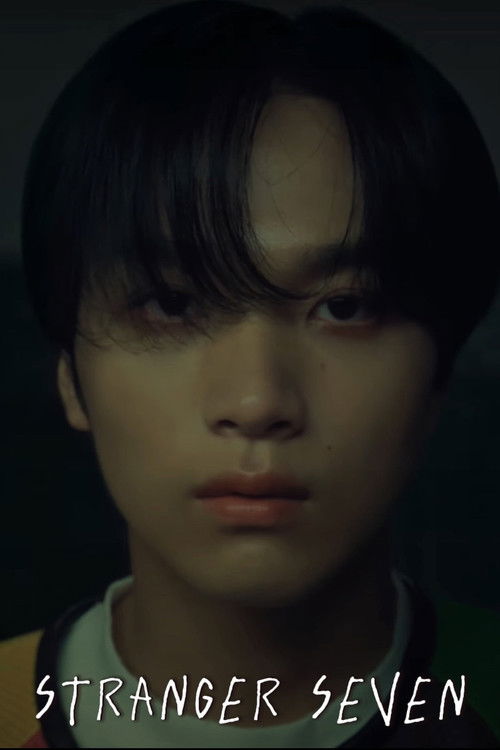 Stranger Seven (2023) poster