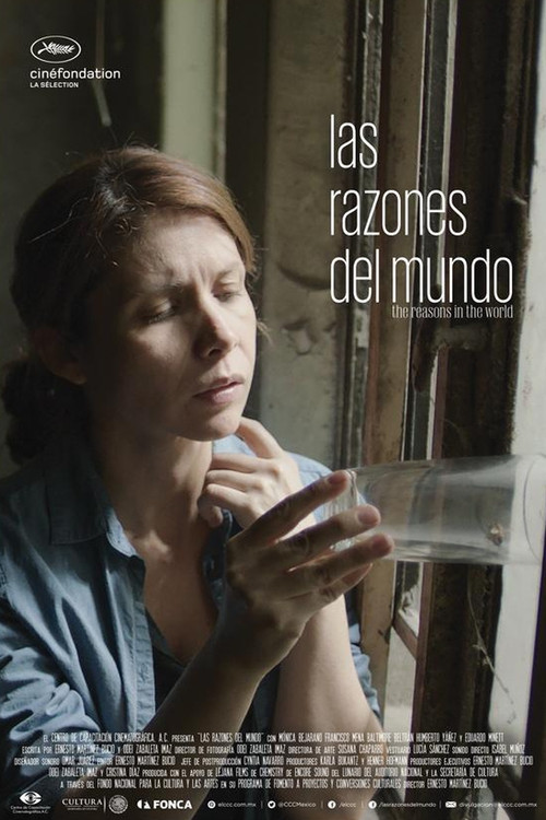 The Reasons in the World (2015) poster