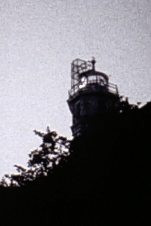 Lay Claim to an Island (2009) poster