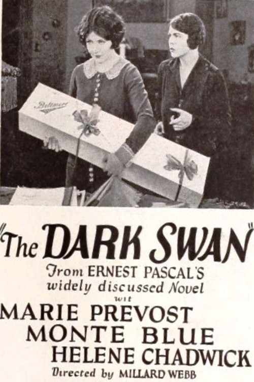 The Dark Swan (1924) poster