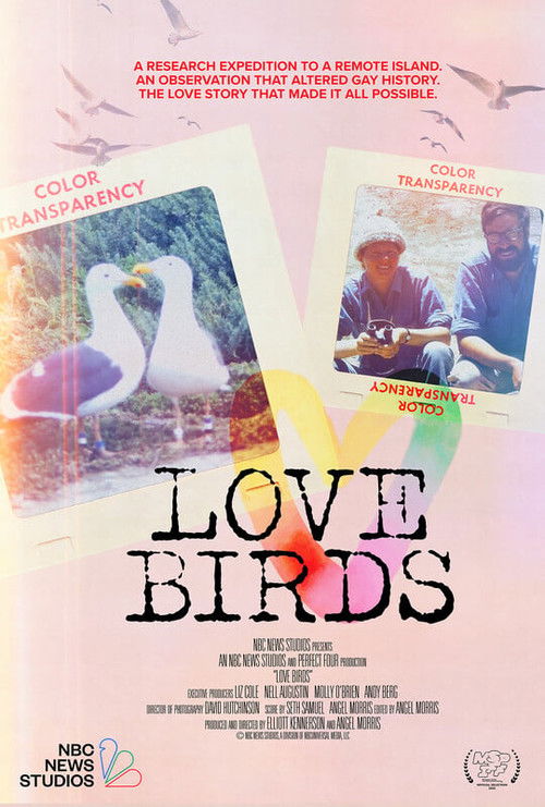 Love Birds (2025) poster