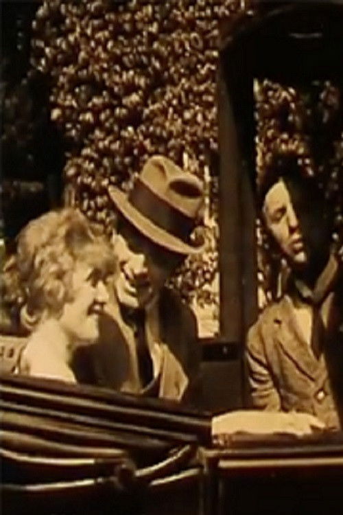 De Dood van Pierrot (1920) poster