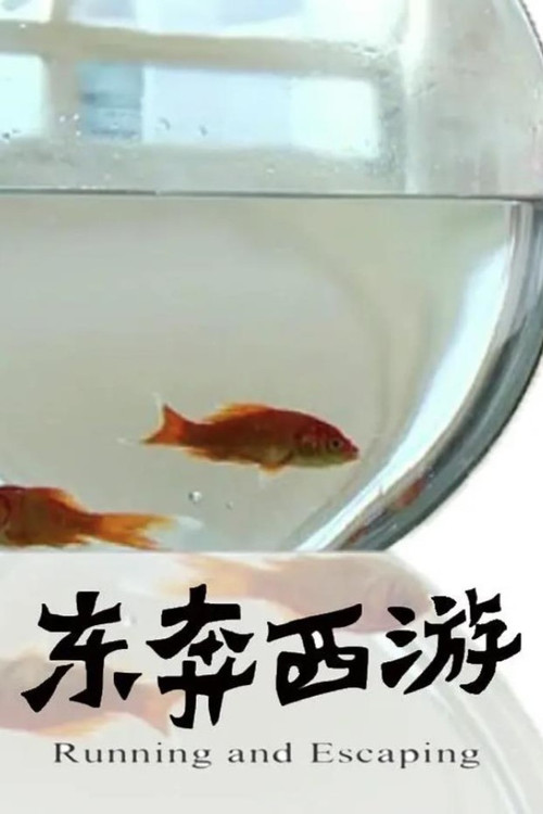 Running and Escaping (2020) poster