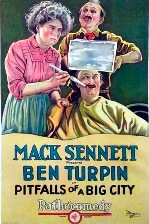 Pitfalls of a Big City (1923) poster