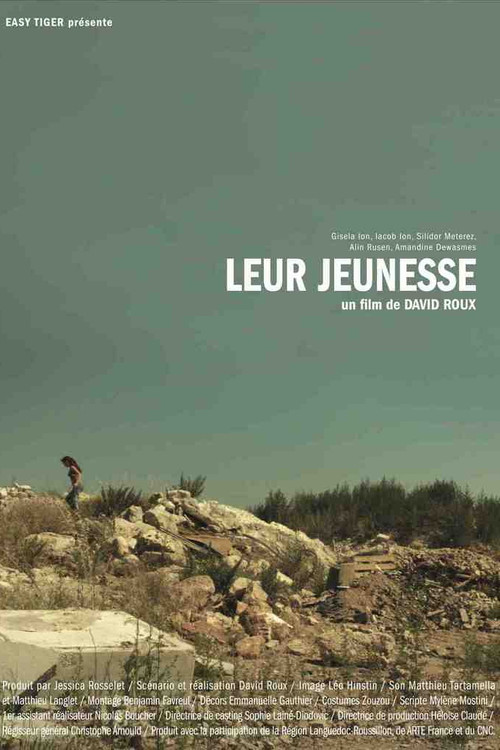 Their Youth (2012) poster