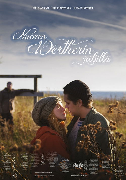 Nuoren Wertherin jäljillä (2013) poster