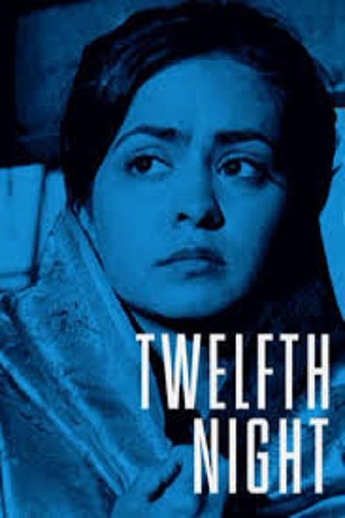 Twelfth Night, or What You Will (2003) poster