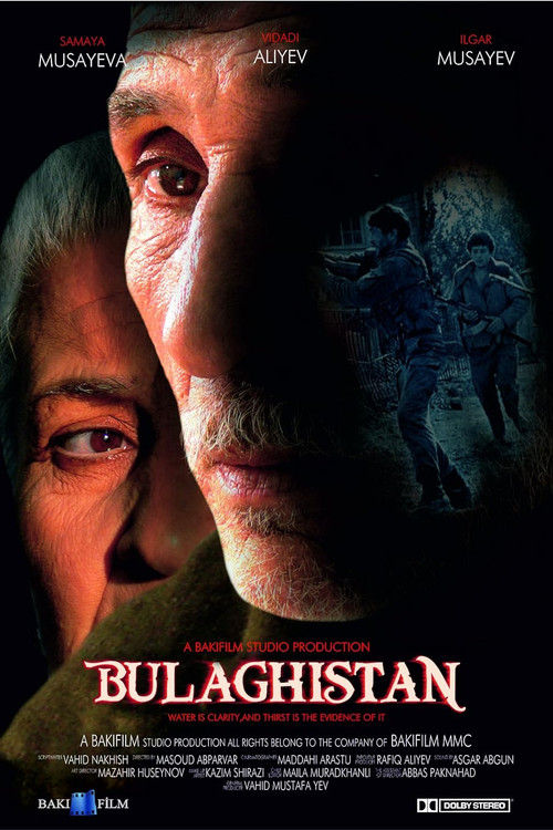 Bulaqistan (2009) poster