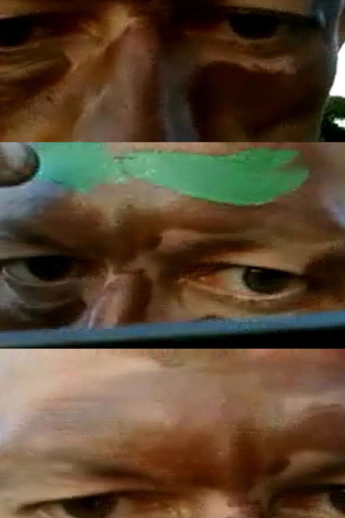 Camouflage Self-Portrait (2008) poster