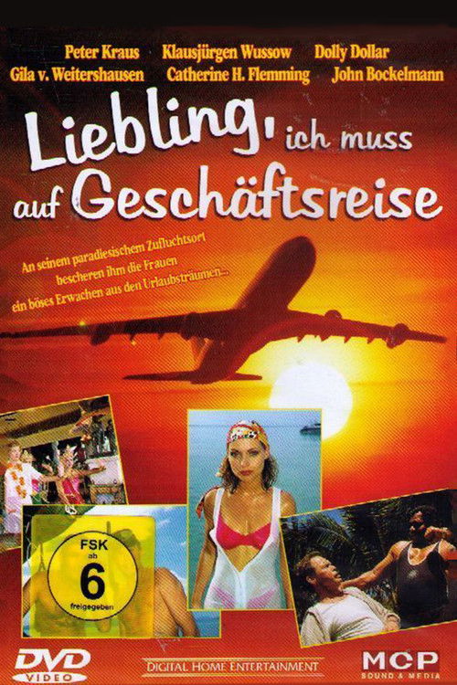 Liebling, ich muß auf Geschäftsreise (1995) poster