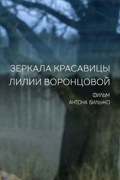 Mirrors of the Beautiful Lilia Vorontsova (2014) poster