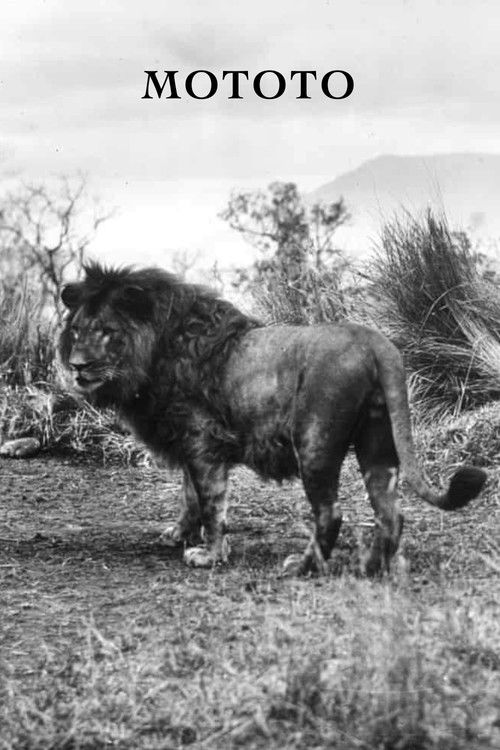 Mototo (1932) poster