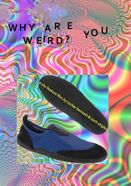 Why Are You Weird? (2009) poster