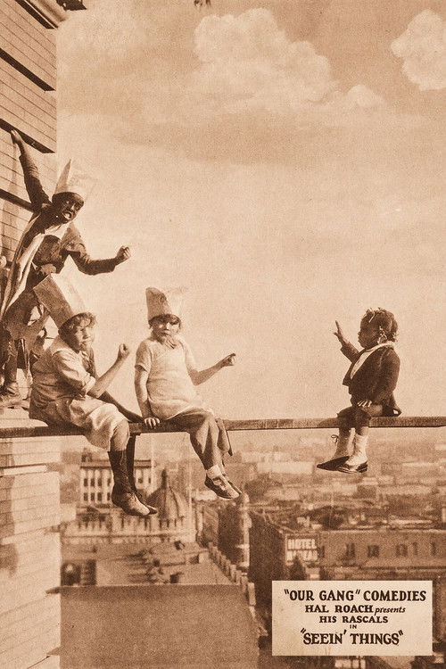 Seein' Things (1924) poster