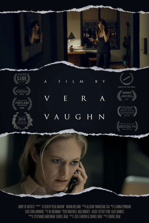 A Film by Vera Vaughn (2016) poster