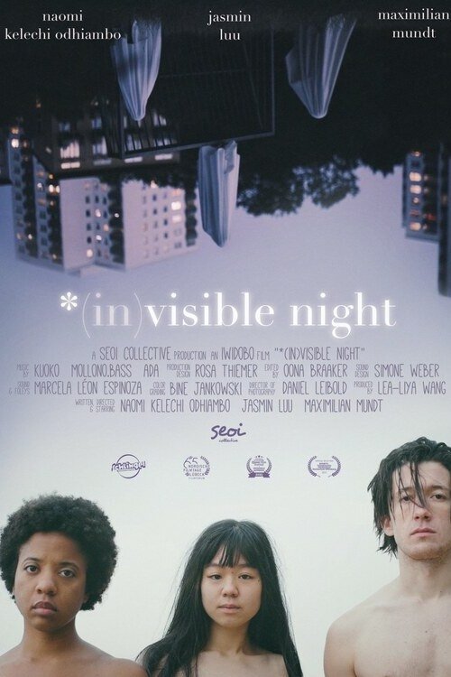 *(In)Visible Night (2023) poster
