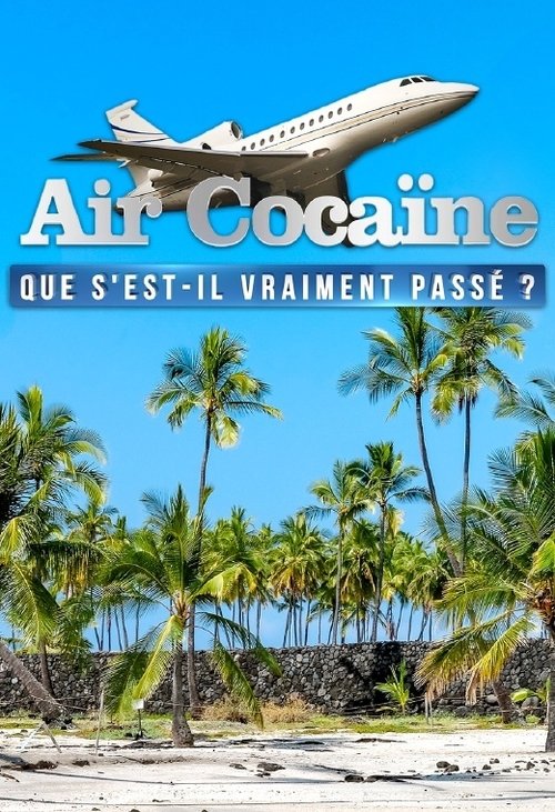 Air cocaïne : que s'est-il vraiment passé ? (2019) poster