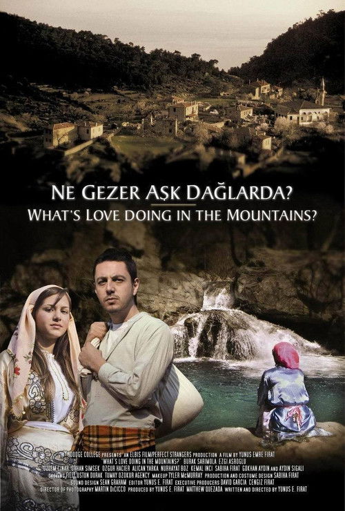 Ne Gezer Aşk Dağlarda? (2005) poster