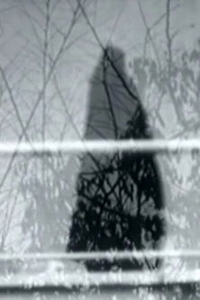 Never Happened (1969) poster